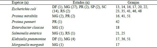 DETECÇÃO DE BETA-LACTAMASES DE ESPECTRO ESTENDIDO EM ENTEROBACTEREACEAS ISOLADAS DE SUÍNOS - Image 1