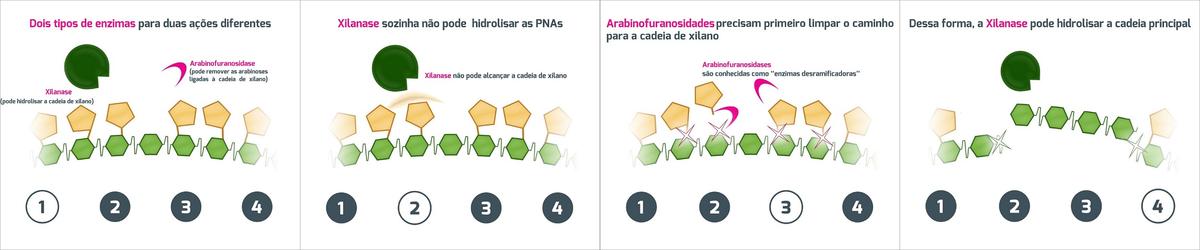 Como melhorar a eficiência alimentar atuando em três pilares - Image 2