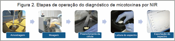 Gestão de micotoxinas na velocidade da luz - Image 2