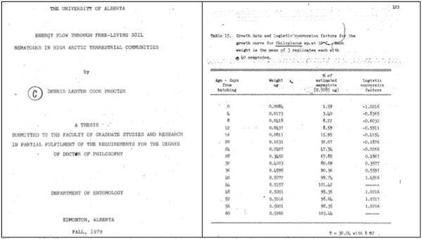 Planilha para modelagem de curvas PPM - Image 13