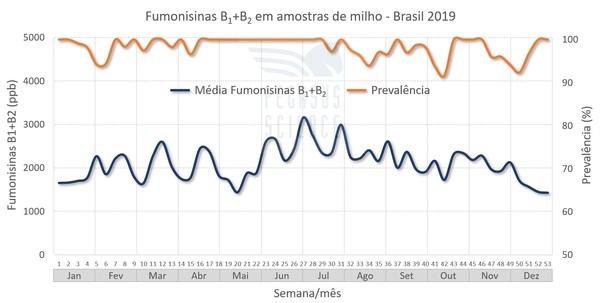 Micotoxinas em milho: Brasil - Ano 2019 - Image 5