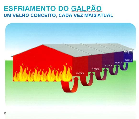 Prevenção da Doença de Gumboro: o inteligente mecanismo de ação das vacinas de imuno-complexo - Image 4