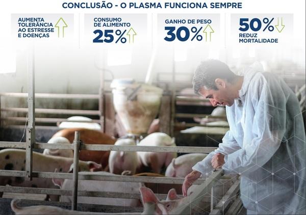 O plasma melhora a imunidade e sanidade em todas as fases da produção suína - Image 6