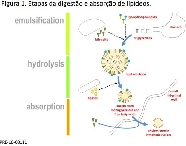 Mágica ou tecnologia? Como os aditivos atuam na redução dos custos da ração? - Image 1