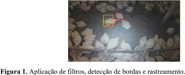 Rastreamento da movimentação em aviário atráves de processamento digital de imagens - Image 1