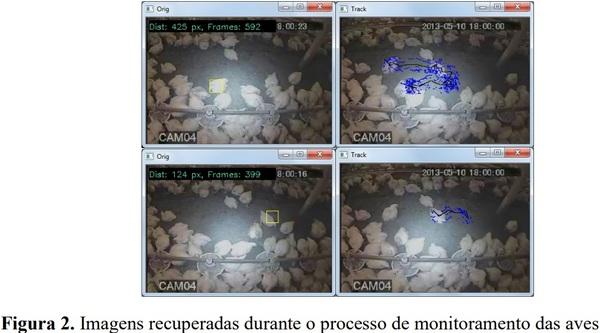 Rastreamento da movimentação em aviário atráves de processamento digital de imagens - Image 2