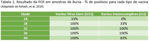 Imunização precoce contra a Doença de Gumboro - Image 1