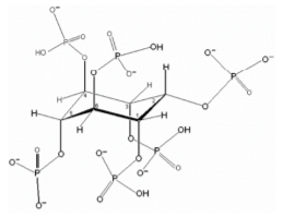 Estrutura molecular do fitato