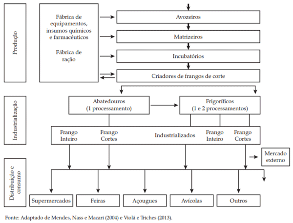Figura 1. Cadeia produtiva de frangos de corte