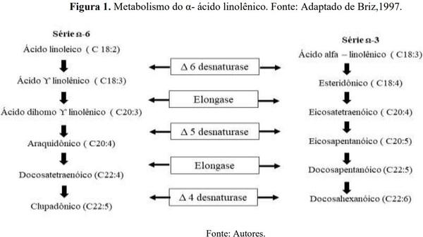 Relação do ácido linoleico e alfa linolêinico na alimentação de aves de postura: Uma revisão - Image 1