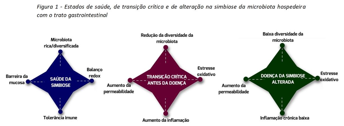 Abordagem holística de 3 passos em como melhorar a saúde do trato gastrointestinal dos animais: Parte I - Image 1