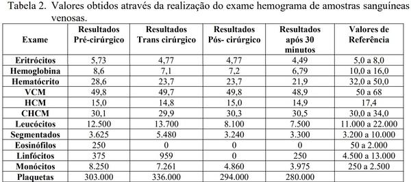 OVARIOHISTERCTOMIA EM LEITOA - Image 3
