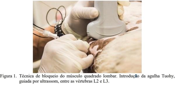 OVARIOHISTERCTOMIA EM LEITOA - Image 1