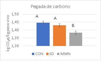Do campo à mesa do consumidor: produção sustentável com o uso de ESG na nutrição animal - Image 2