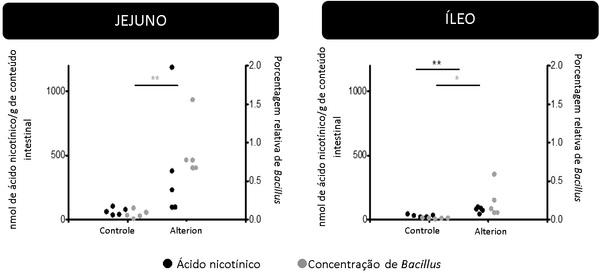 A importancia - Image 10