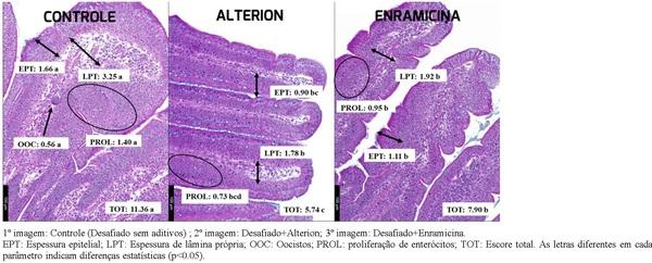 A importancia - Image 5