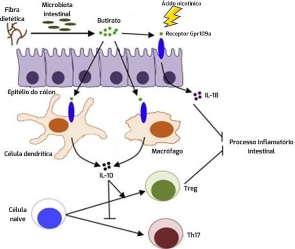 A importancia - Image 9