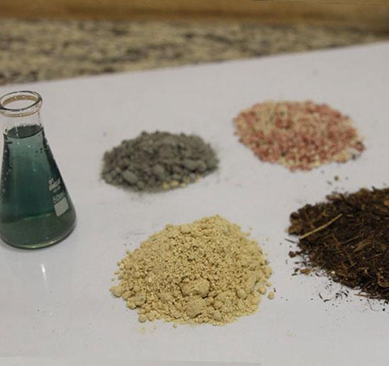 Biodisponibilidade do mineral orgânico G2 - Image 1