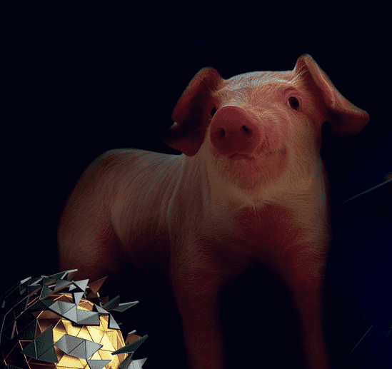 A importância do GLUCANGOLD® (betaglucanos purificados) na diminuição da mortalidade de Suínos - Image 1