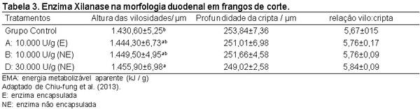 Xilanase: impacto no crescimento e saúde intestinal de frangos de corte - Image 5