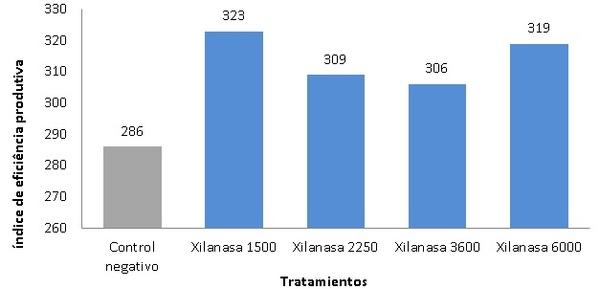 Xilanase: impacto no crescimento e saúde intestinal de frangos de corte - Image 3