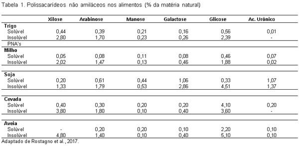 Xilanase: impacto no crescimento e saúde intestinal de frangos de corte - Image 1