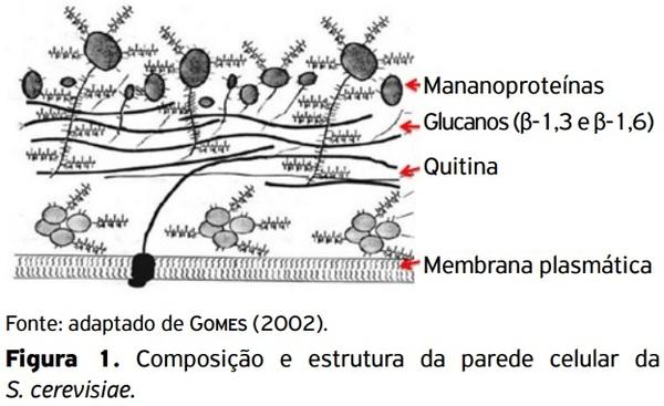 Uso de aditivo alimentar equilibrador da flora intestinal em aves de corte e de postura - Image 1