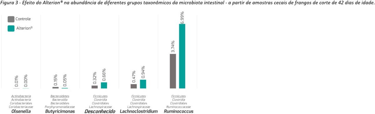 Abordagem holística de 3 passos em como melhorar a saúde intestinal em animais: Parte 3 - Image 1