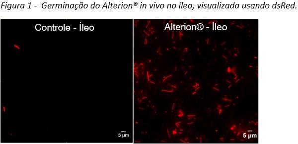 Abordagem holística de 3 passos em como melhorar a saúde intestinal em animais: Parte 3 - Image 1