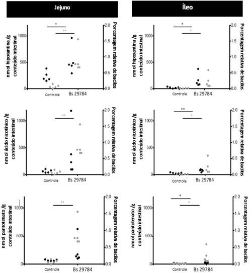 Abordagem holística de 3 passos em como melhorar a saúde intestinal em animais: Parte 3 - Image 2