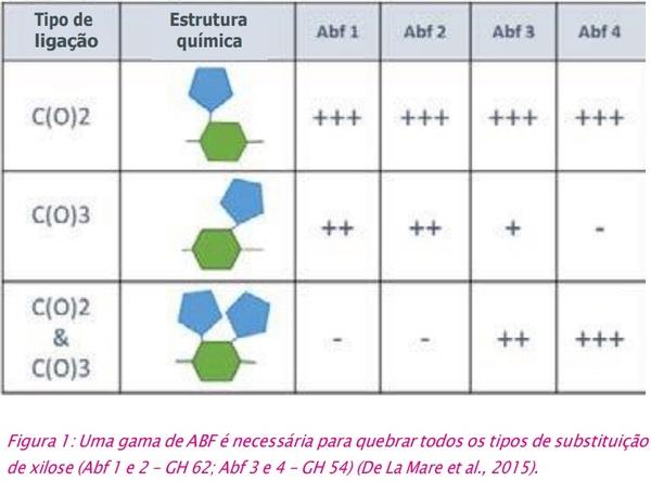 Arabinofuranosidases: a revolução para aumentar a eficácia das xilanases - Image 2