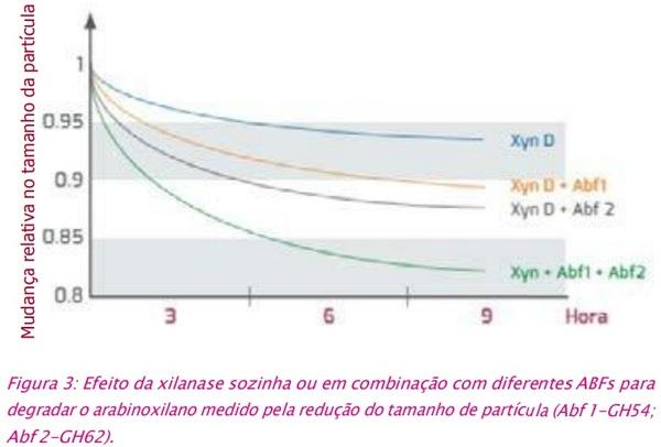 Arabinofuranosidases: a revolução para aumentar a eficácia das xilanases - Image 4