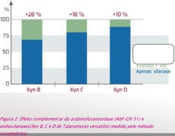 Arabinofuranosidases: a revolução para aumentar a eficácia das xilanases - Image 3