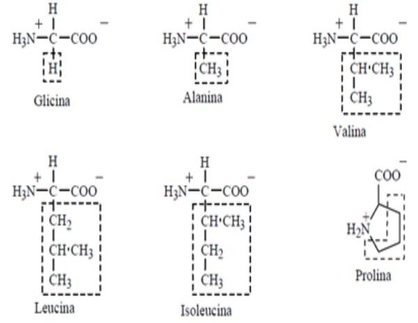 SUINO, SUPLEMENTO, NUTRICAO, PROTEINA, ENERGIA, SUPLEMENTACAO