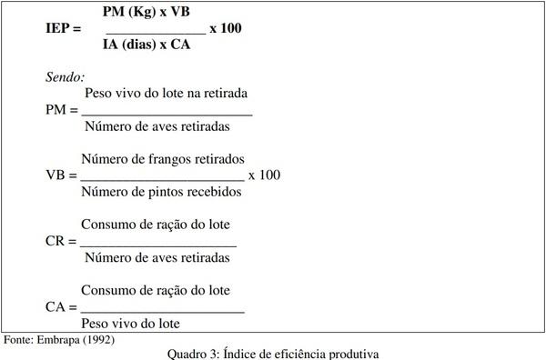 Análise da mensuração contábil dos custos da atividade avícola no sistema de parceria - Image 3