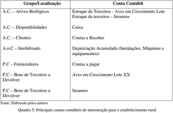 Análise da mensuração contábil dos custos da atividade avícola no sistema de parceria - Image 5