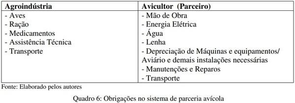 Análise da mensuração contábil dos custos da atividade avícola no sistema de parceria - Image 6