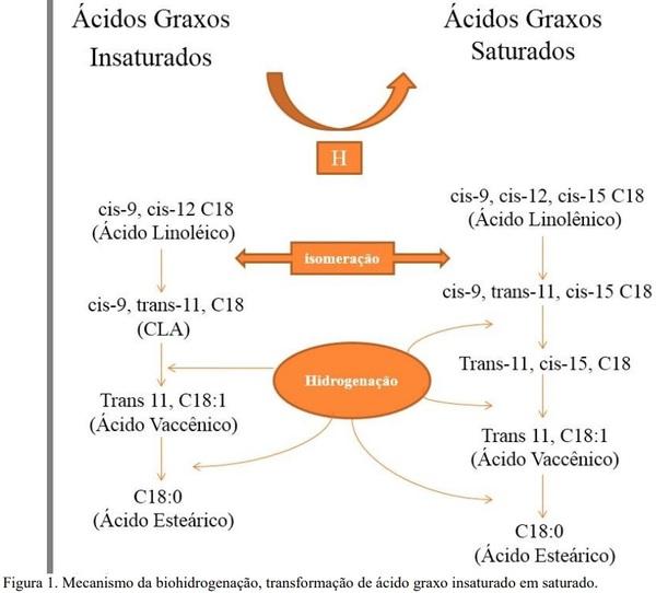 Glicerina como substituto do milho na nutrição de bovinos e influência na composição de ácidos graxos da carne - Image 1