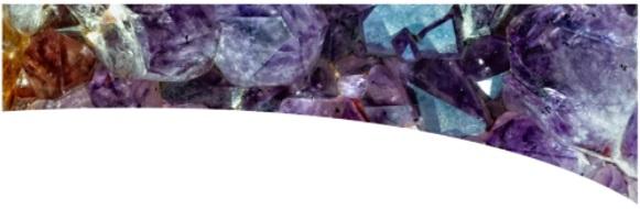 Minerais orgânicos diminuem a incidência de pododermatite em frangos de corte - Image 14