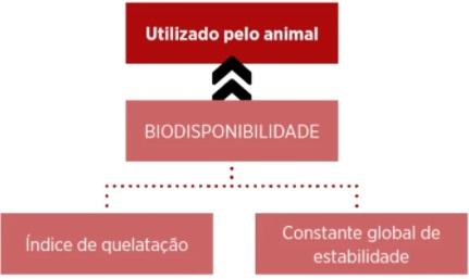 Minerais orgânicos diminuem a incidência de pododermatite em frangos de corte - Image 20