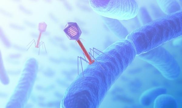 Bacteriófagos como uma alternativa viável aos antibióticos em aves - Image 1