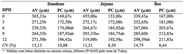 Tabela 2: Altura das vilosidades (AV) e prorundidade de criptas (PC) da mucosa intestinal do duodeno, jejuno e íleo de leitões no intervalo de 0-12 dias pós-desmama (DPD)