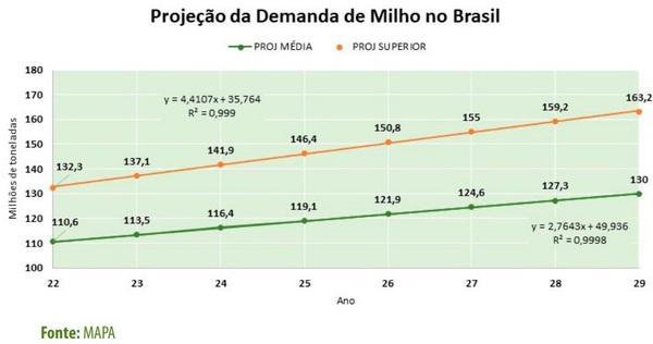 Alternativas ao milho na fabricação de rações para a avicultura - Image 8