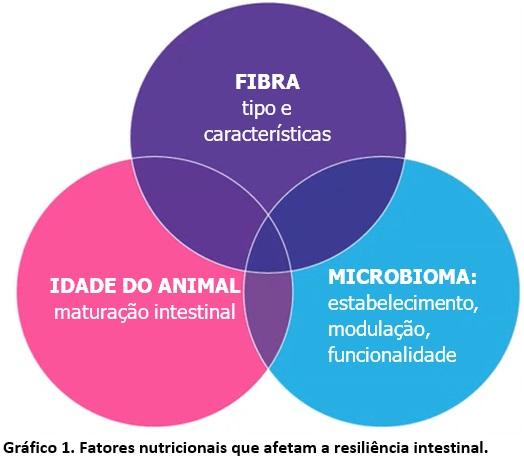 Estimbióticos: um elemento essencial das estratégias de resiliência nutricional - Image 1