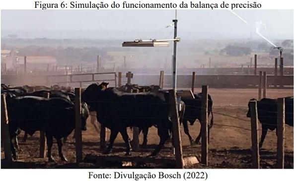 ADOÇÃO DO USO DE TECNOLOGIA: O IMPACTO NOS RESULTADOS DA PECUÁRIA DE CORTE NO CONFINAMENTO PONTAL - Image 6