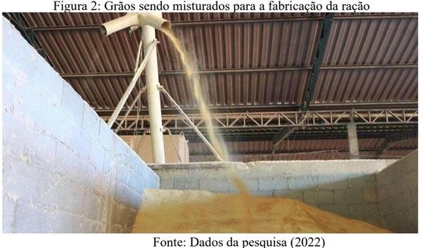 ADOÇÃO DO USO DE TECNOLOGIA: O IMPACTO NOS RESULTADOS DA PECUÁRIA DE CORTE NO CONFINAMENTO PONTAL - Image 2