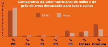 Arroz é alternativa viável para reduzir custos de produção de suínos e aves - Image 6