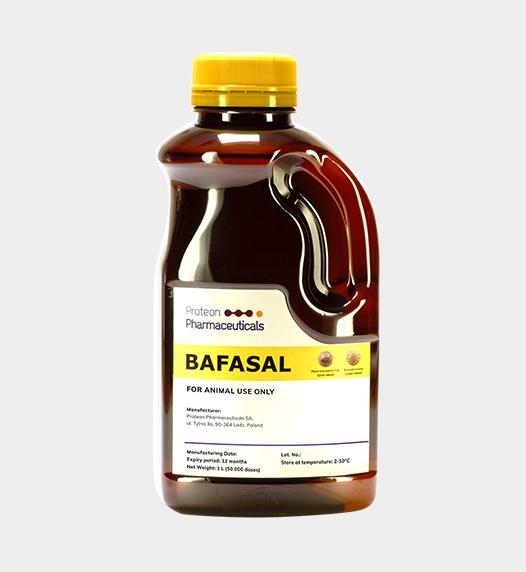 Avaliação de segurança multifacetada de produtos bacteriófagos dedicados à saúde animal - Image 1