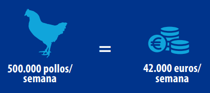 A diferença percentual entre a estratégia conservadora e a de MMN é de 3.3% de melhoria em favor da estratégia MMN