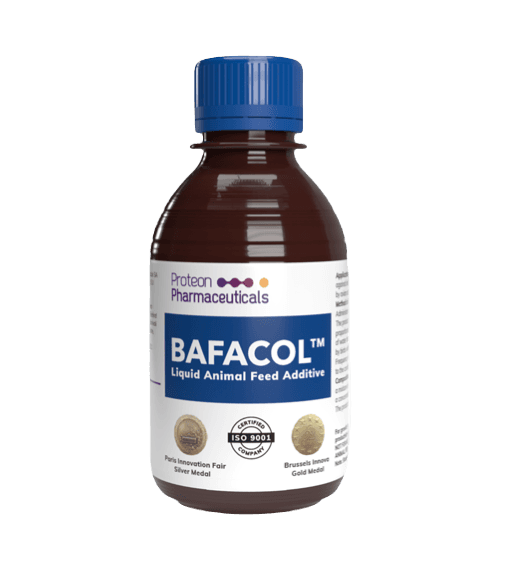 De uma única placa a uma preparação de fagos eficaz para prevenir colibacilose em aves – a história do BAFACOL™. - Image 1